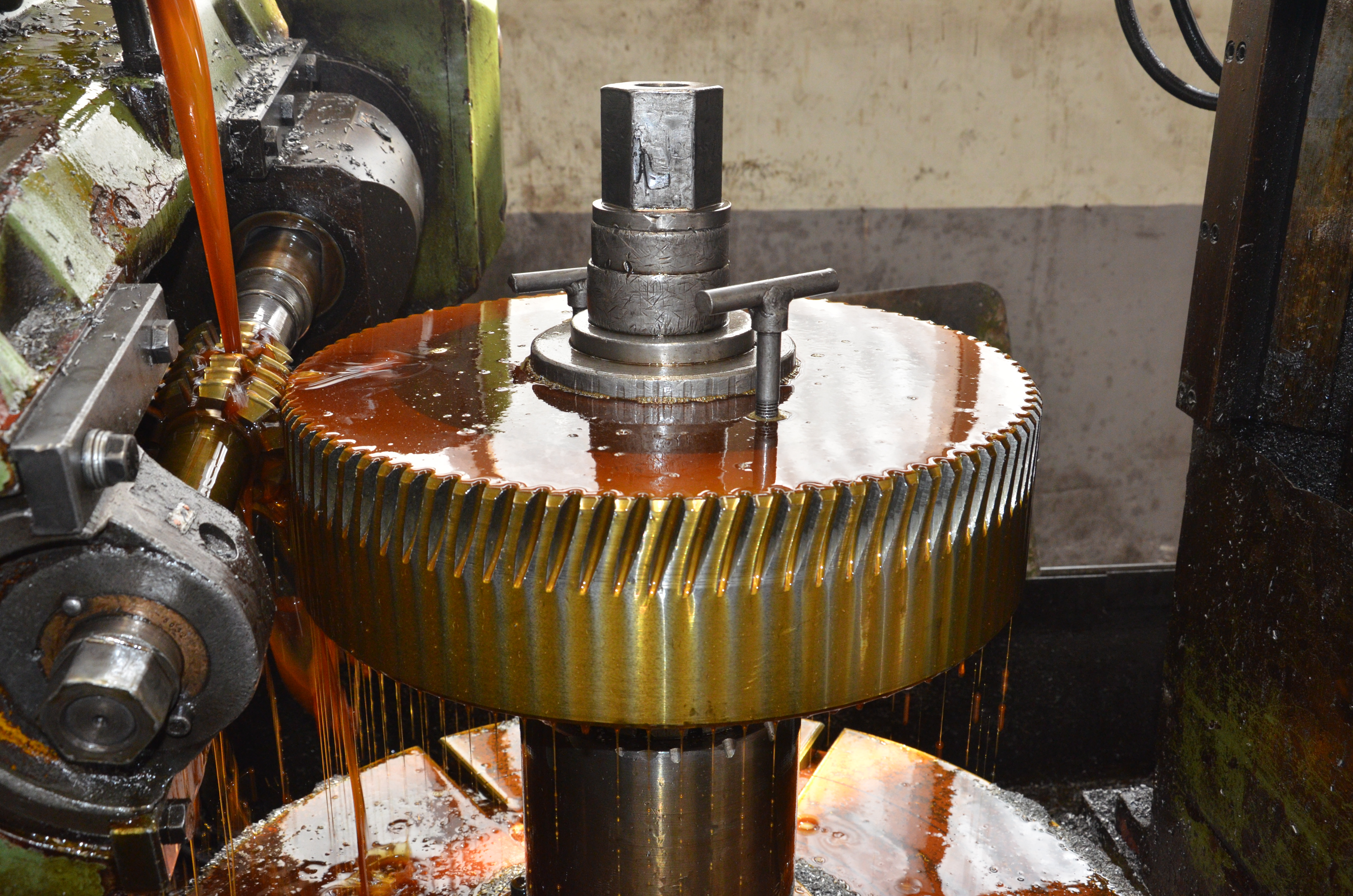 DSC_1456.JPG DSC_1456.JPG